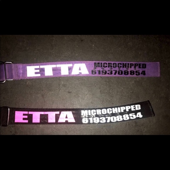 Custom Dog Collars! - Picture 8 of 8